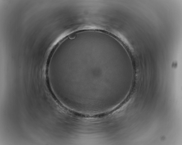 X0000102351173200808011157