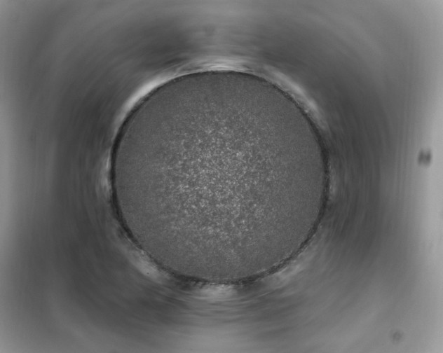 X0000102351174200808011157