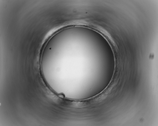 X0000102351176200808011157