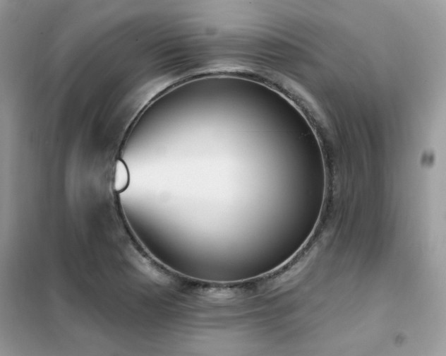 X0000102351177200808011157