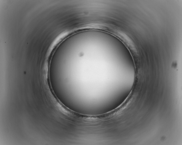 X0000102351180200808011157