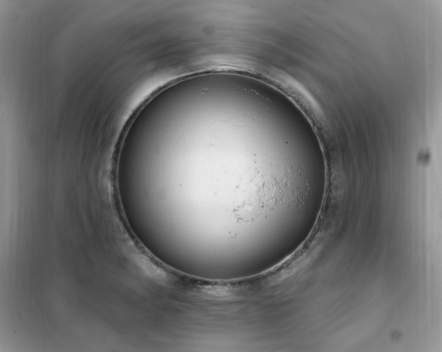 X0000102351182200808011157