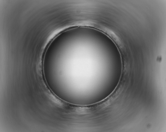 X0000102351184200808011157