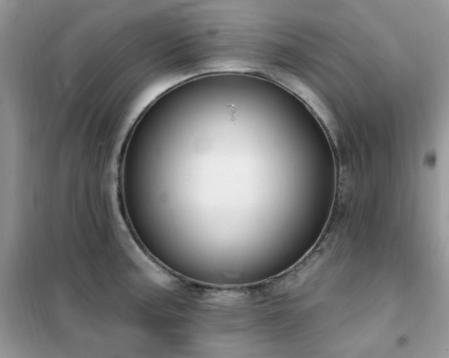 X0000102351187200808011156