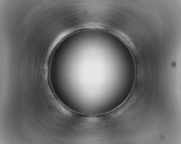 X0000102351188200808011156