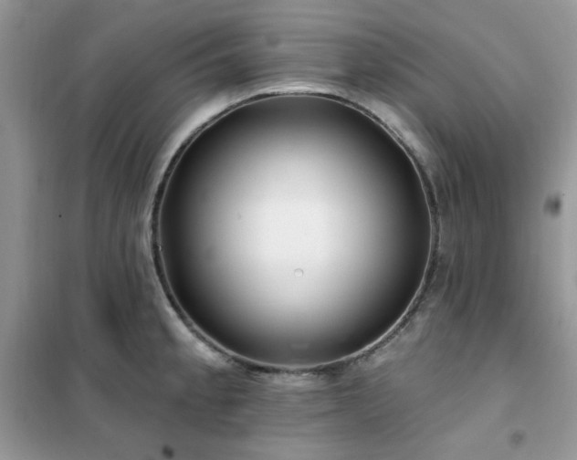 X0000102351189200808011156