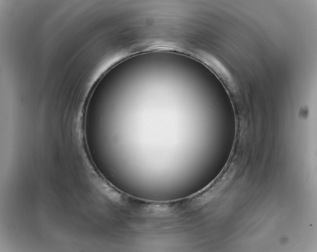 X0000102351190200808011156