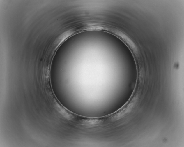 X0000102351193200808011156