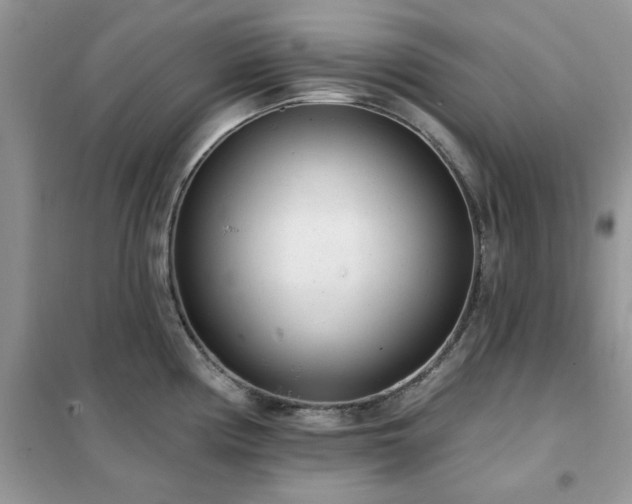 X0000102351194200808011156