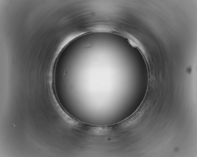 X0000102351195200808011156