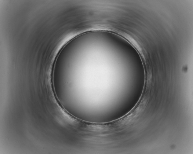 X0000102351197200808011156