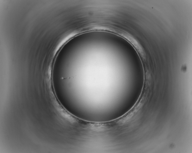 X0000102351198200808011156