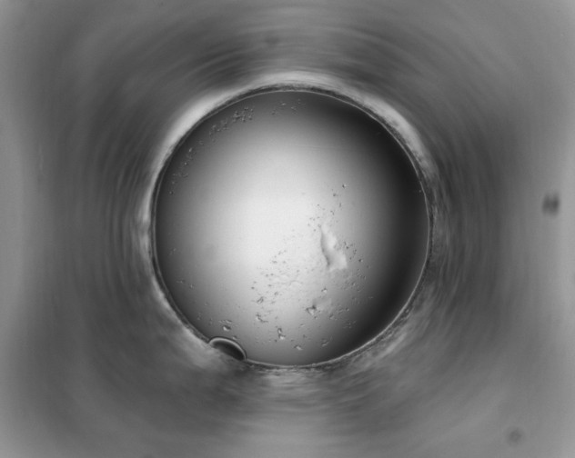 X0000102351199200808011156