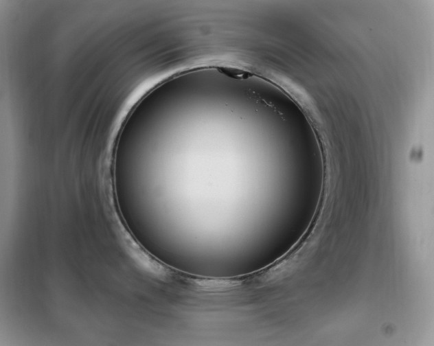 X0000102351200200808011156