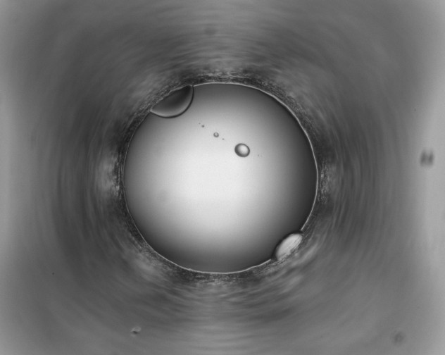 X0000102351202200808011156