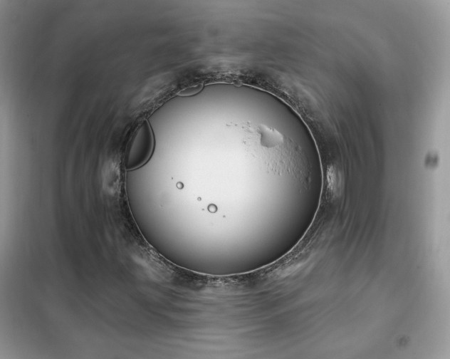 X0000102351203200808011156