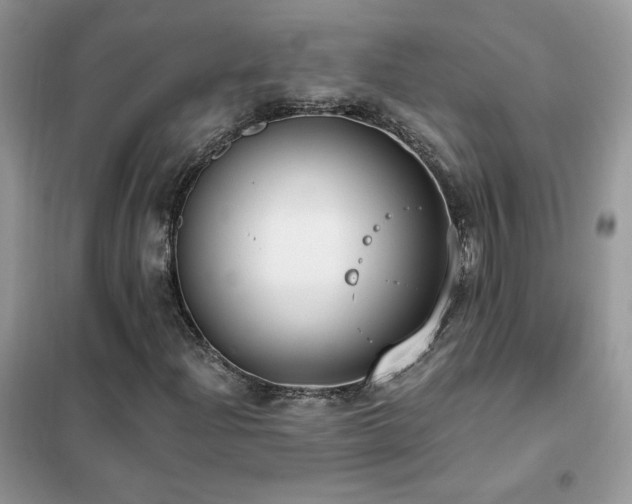 X0000102351204200808011156