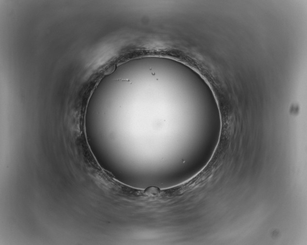 X0000102351205200808011156