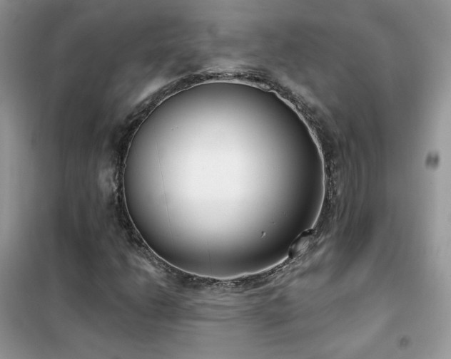 X0000102351206200808011156