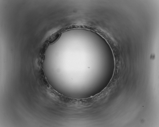 X0000102351207200808011156