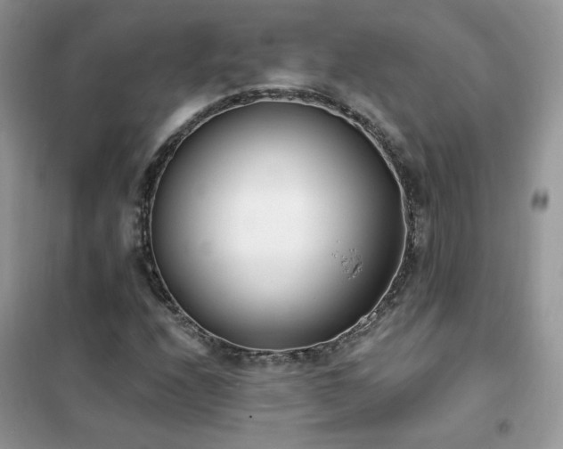 X0000102351208200808011156