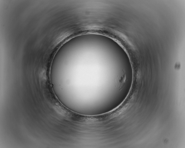 X0000102351209200808011156