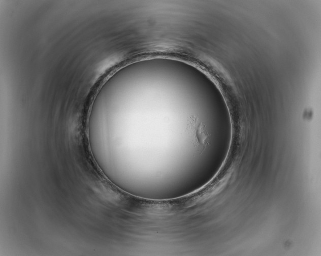 X0000102351210200808011156