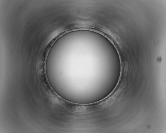 X0000102351211200808011156