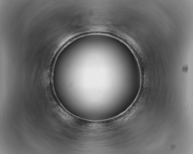 X0000102351212200808011156