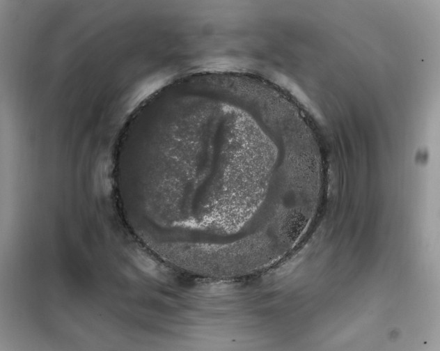 X0000102351213200808011156