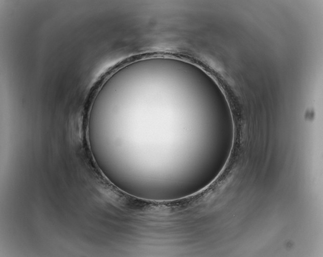 X0000102351214200808011156