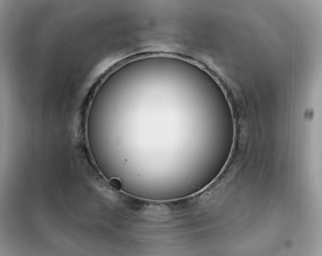 X0000102351215200808011156