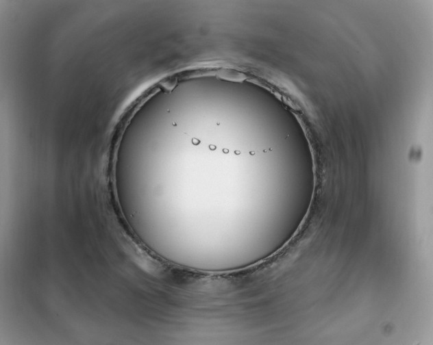 X0000102351216200808011156