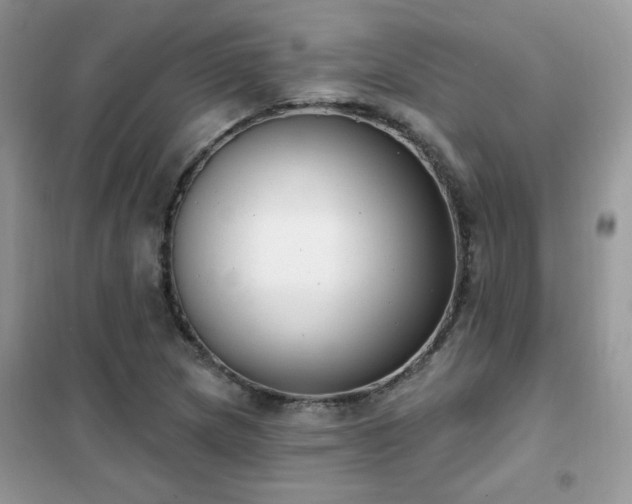 X0000102351217200808011156