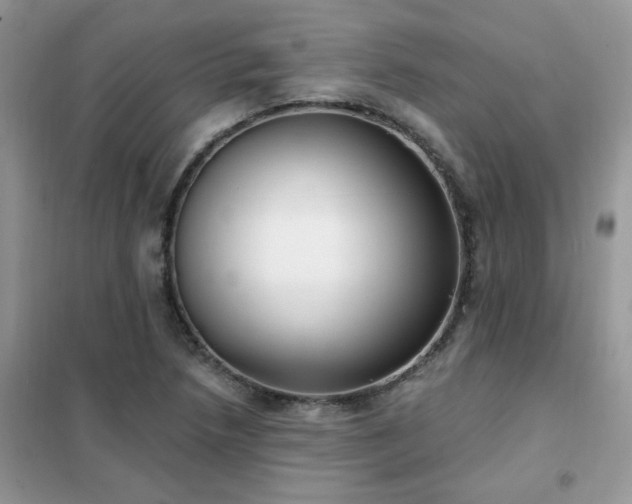 X0000102351218200808011156