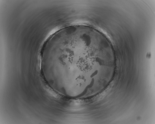 X0000102351219200808011156