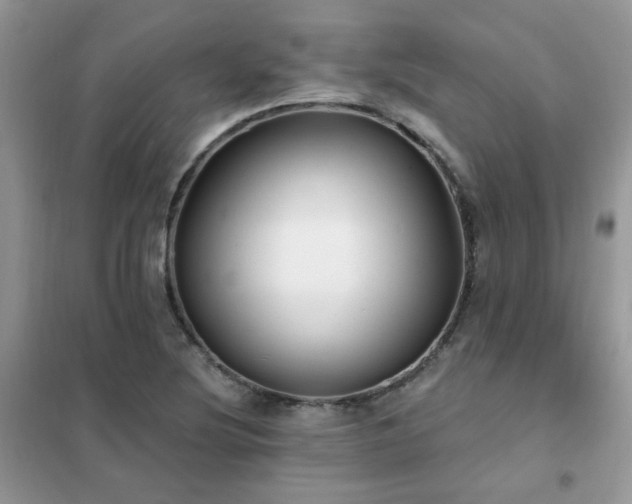 X0000102351220200808011156