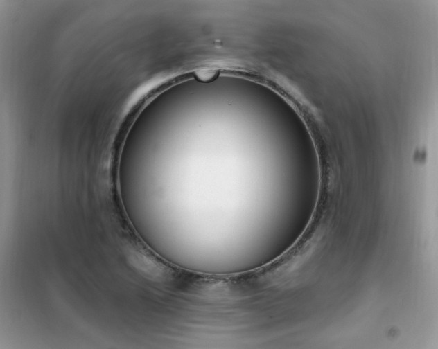 X0000102351222200808011156