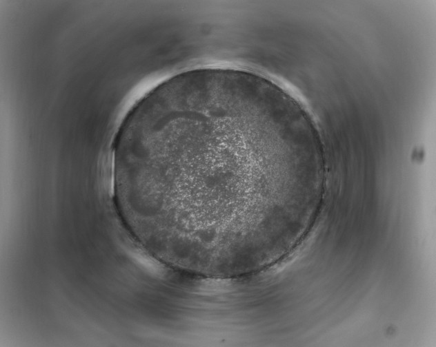 X0000102351223200808011156