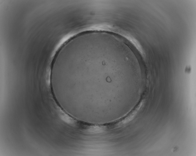 X0000102351224200808011156