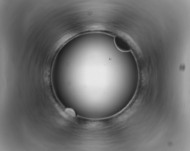 X0000102351225200808011156