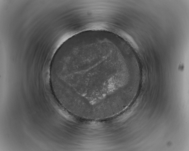 X0000102351226200808011156