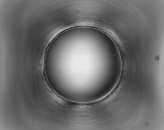 X0000102351228200808011156