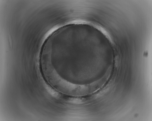 X0000102351229200808011156