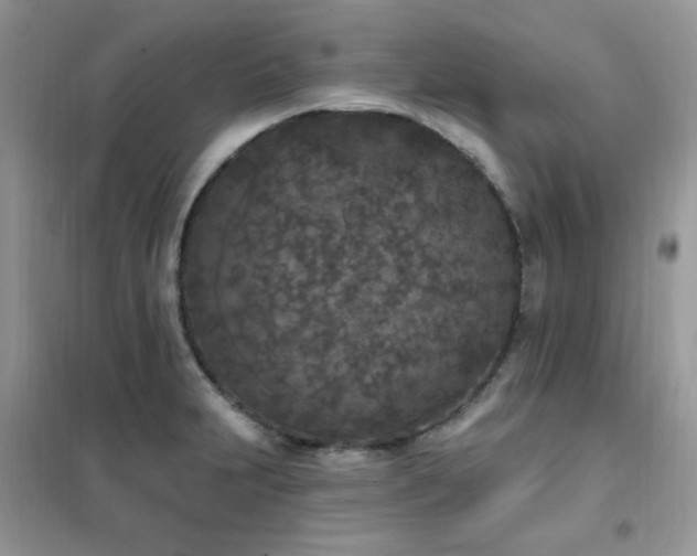 X0000102351231200808011156