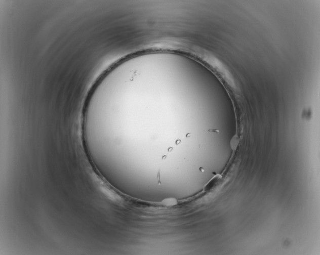 X0000102351232200808011156