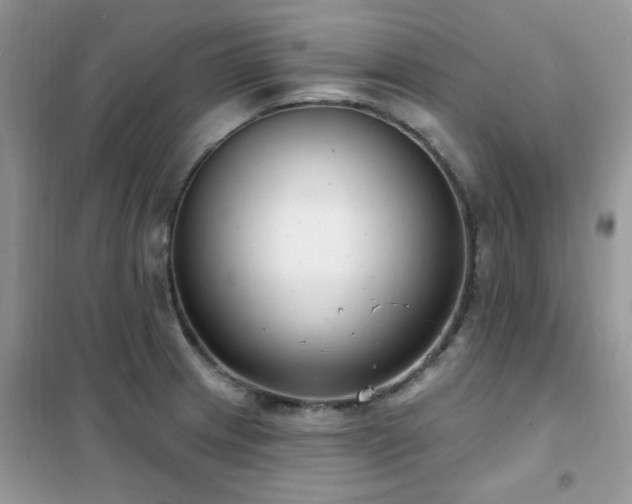 X0000102351233200808011156