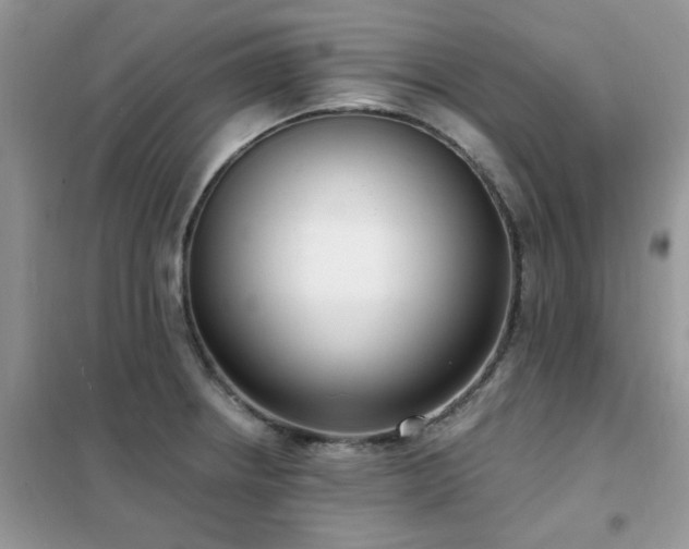 X0000102351234200808011156