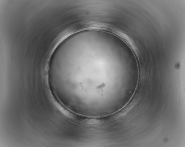 X0000102351235200808011156