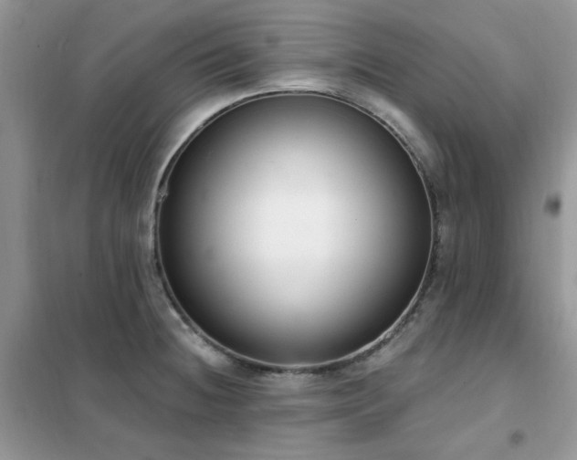 X0000102351236200808011156